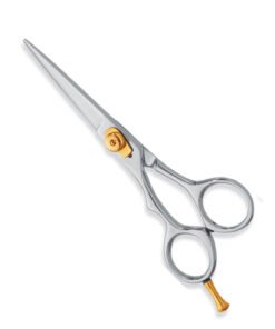 Professional Hair Cutting Scissors