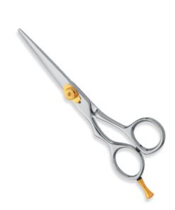 Professional Hair Cutting Scissors