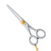 Professional Hair Cutting Scissors