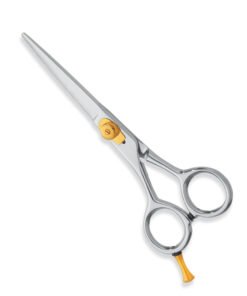 Professional Hair Cutting Scissors