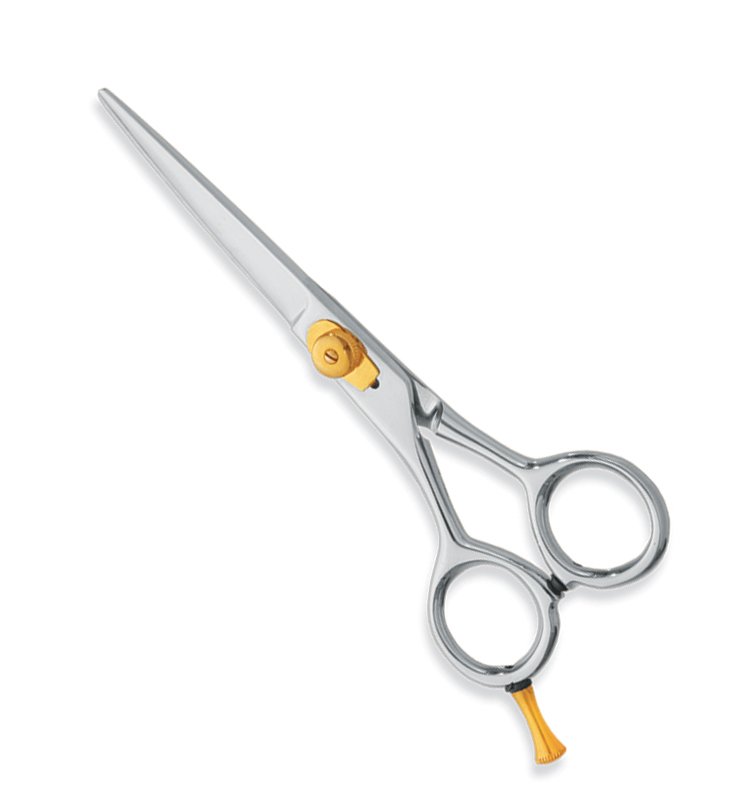 Professional Hair Cutting Scissors