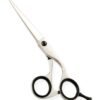 Razor Edge Hair Dressing Scissors