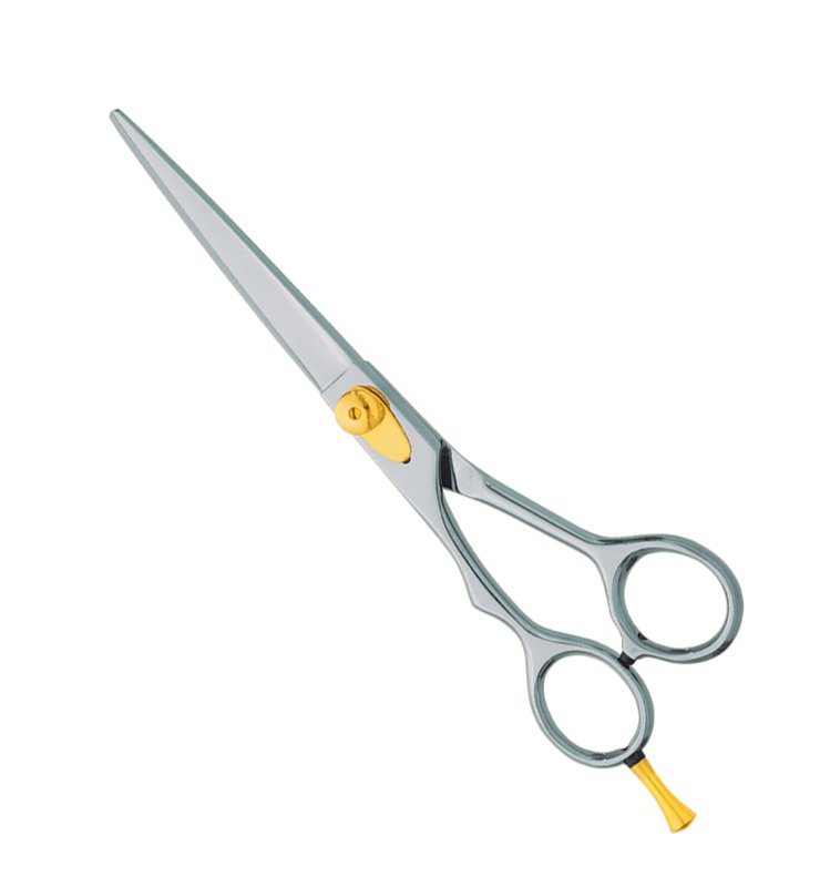 Professional Hair Cutting Scissors