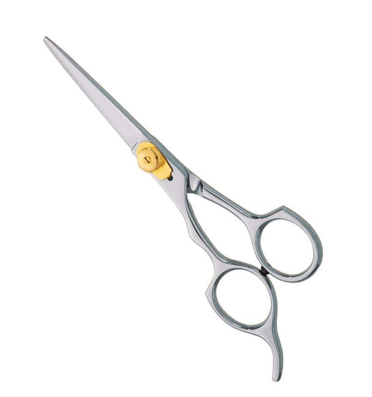 Professional Hair Cutting Scissors